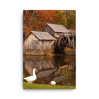 Mabry Mill in Autumn Canvas Print