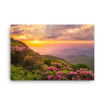 The Great Craggy Mountains Canvas Print