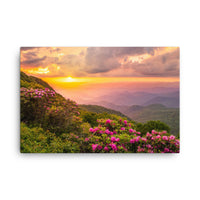 The Great Craggy Mountains Canvas Print