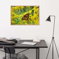 Monarch on Goldenrod Poster