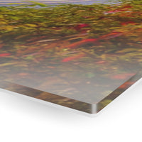 Acrylic Prints