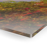 Acrylic Prints