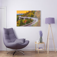 Acrylic Prints